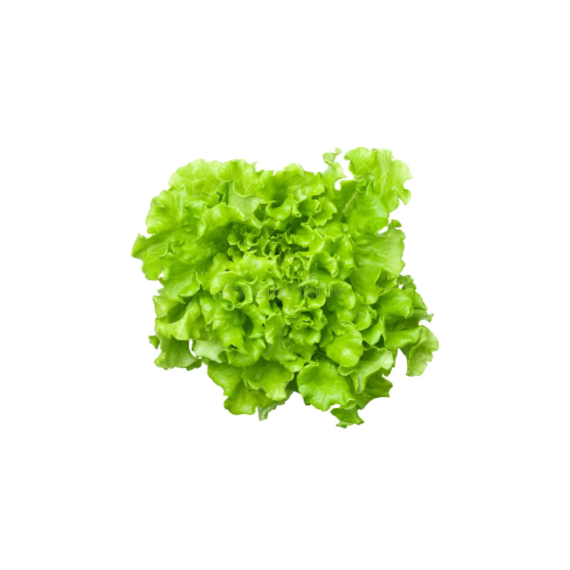 Salade